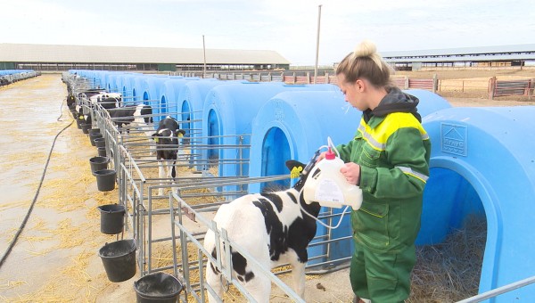 Бесстрашие и постоянная практика. Воронежская студентка стала лучшим ветеринаром в России