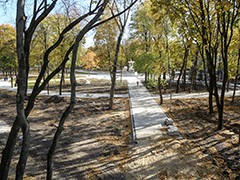 Мэр Вадим Кстенин сегодня в парке &laquo;Орленок&raquo; оценил новый городской мост