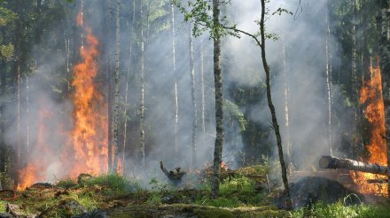 Прогноз погоды на 2.10.2020