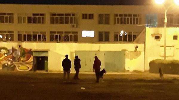 Родители против собачников. В Воронеже обострилась война за территории школ