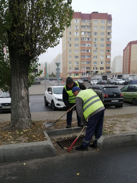 В районах Воронежа усилили работу по уборке улиц