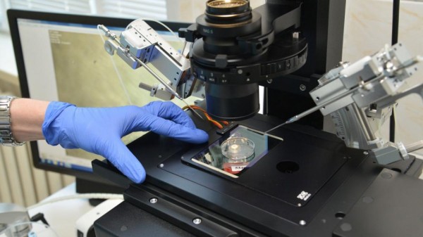 Больше трети тестов на COVID-19 дают ложноотрицательный результат