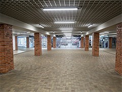 Глава Воронежа Вадим Кстенин принял участие в сессии форума БРИКС