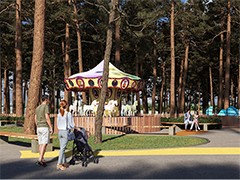 Глава Воронежа Вадим Кстенин принял участие в сессии форума БРИКС