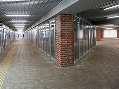 Глава Воронежа Вадим Кстенин принял участие в сессии форума БРИКС