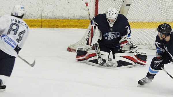 Воронежский &laquo;Буран&raquo; проиграл в Санкт-Петербурге местному &laquo;Динамо&raquo; со счетом 2:6