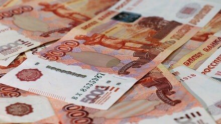 В Воронеже конкурсного управляющего уличили в присвоении 40 млн рублей фирмы-банкрота