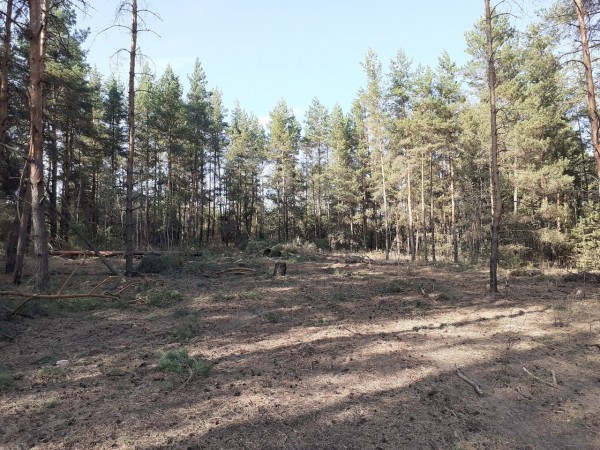 Крупные чрезвычайные ситуации в 2020 году перечислили воронежские спасатели