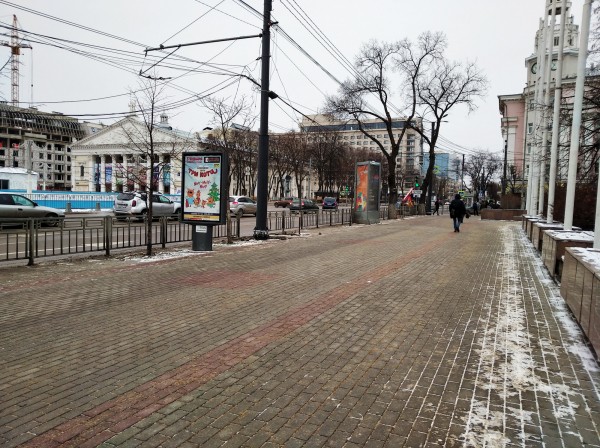 В Воронеже ковид-диссидентов прессуют за нарушения ограничений