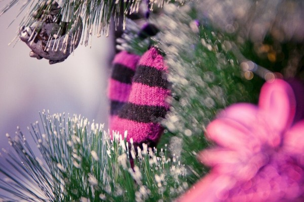 Итоги недели. Что важного произошло в Воронежской области с 14 по 20 декабря