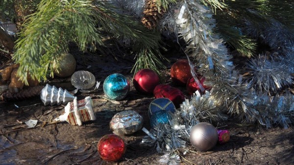 Гид РИА &laquo;Воронеж&raquo;. Чем заняться на новогодних каникулах в пандемию