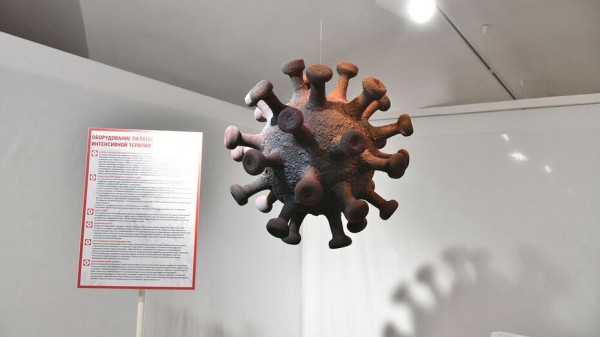 Ковид унес жизни еще 15 воронежцев