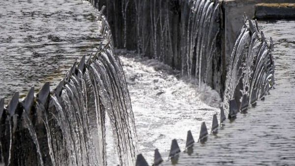 Портившие воздух в Воронеже Левобережные очистные сооружения сменят собственника