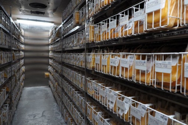 Итоги недели. Что важного произошло в Воронежской области с 14 по 20 декабря