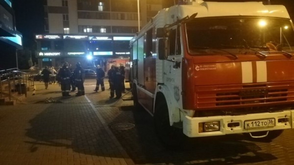 Двое взрослых и 4-летний ребенок пострадали при пожаре в Воронеже