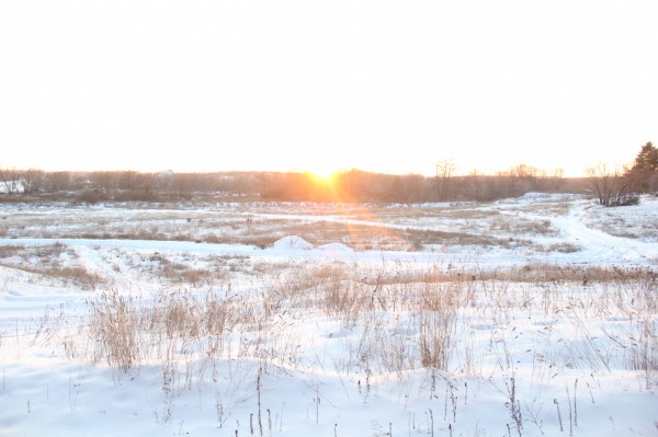 Какая погода будет в Воронеже на январских праздниках