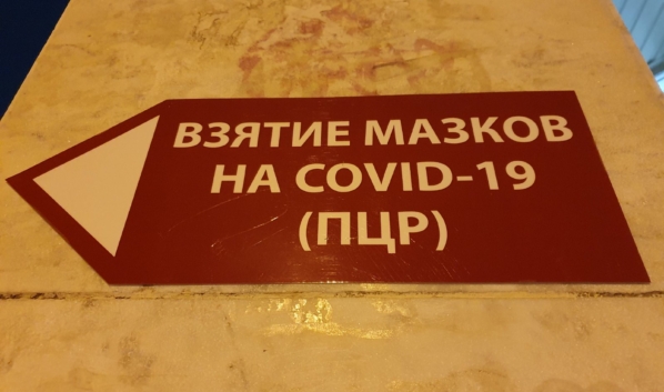 Люди какого возраста стали чаще заражаться COVID-19 в Воронежской области