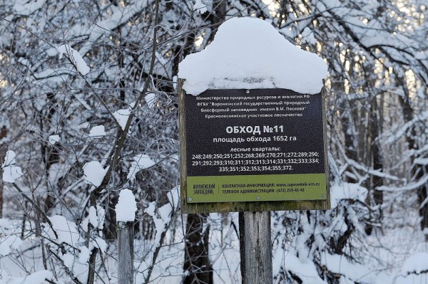 Больницы, почта, МФЦ. График работы воронежских учреждений на новогодних каникулах