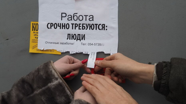 Официально безработных воронежцев за неделю стало на 2,5 тыс меньше