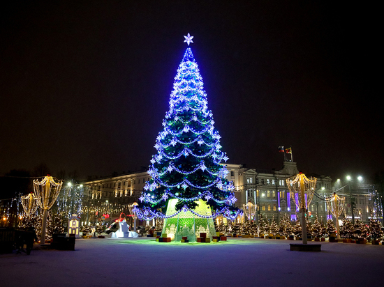 В Воронеже чиновники лично контролируют санитарное состояние территорий в новогодние праздники