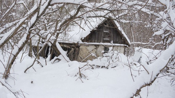 Снег выпадет в Воронеже в ночь на Рождество
