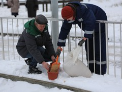 В Воронеже проходит акция &laquo;Покорми птиц зимой&raquo;