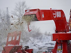 В Воронеже переработали уже более полутора тысяч елок, оставшихся после новогодних праздников