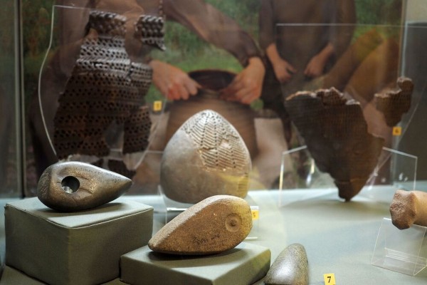 Больницы, почта, МФЦ. График работы воронежских учреждений на новогодних каникулах