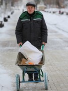 В Воронеже проходит акция &laquo;Покорми птиц зимой&raquo;