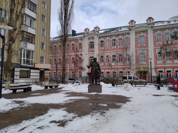 Синоптики на новой неделе пообещали воронежцам снег и легкий мороз