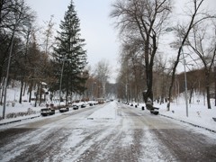 В Воронеже проходит акция &laquo;Покорми птиц зимой&raquo;