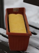 В Воронеже проходит акция &laquo;Покорми птиц зимой&raquo;