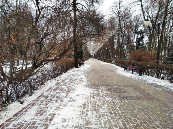 Каким для россиян оказался 2020 год на фоне пандемии