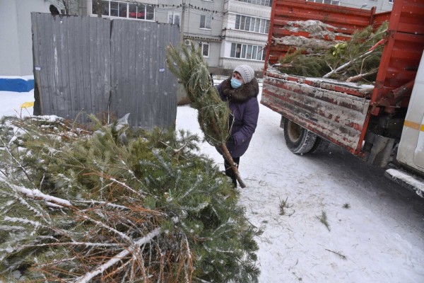 Гид РИА &laquo;Воронеж&raquo;. Чем заняться в выходные 23 и 24 января