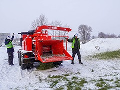 В Воронеже переработали уже более полутора тысяч елок, оставшихся после новогодних праздников