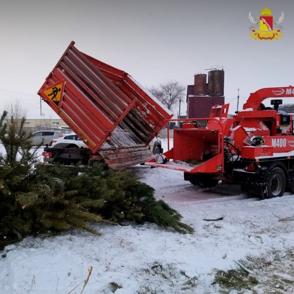 В Воронеже после праздников переработали уже 12 кубометров новогодних елок