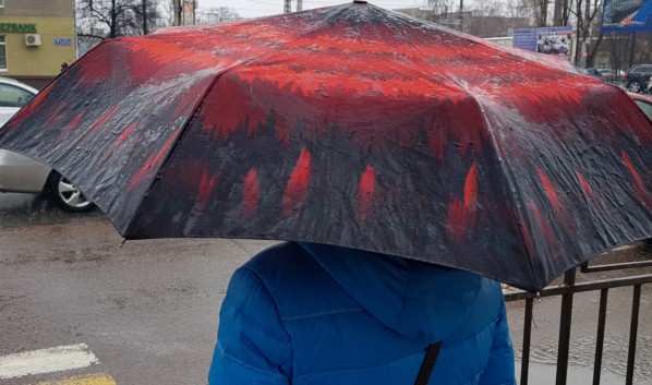 Какая погода ожидается в Воронеже на День Победы 9 мая 2021 года