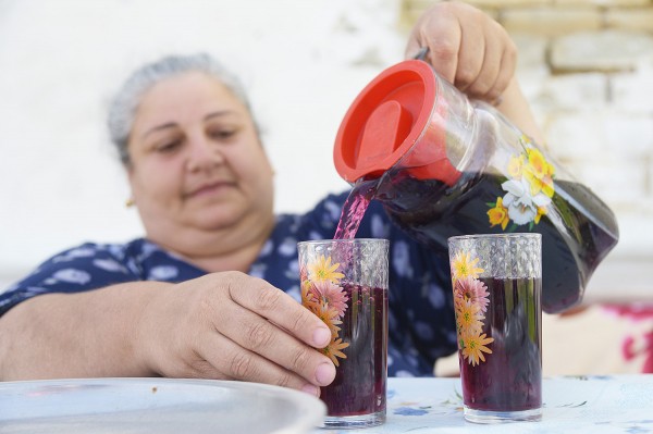 Заброшенные хутора: как пустеют воронежские деревни. Долгинка