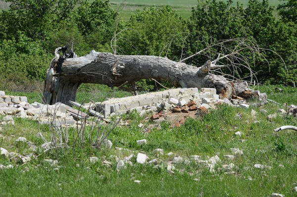 Заброшенные хутора: как пустеют воронежские деревни. Долгинка