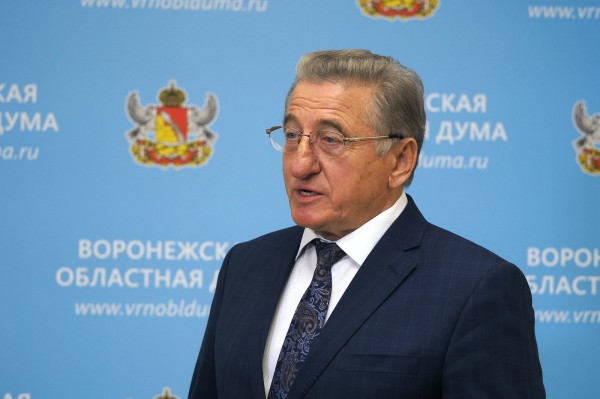 Выглядит достойно. Как воронежские депутаты и общественники оценили отчет губернатора