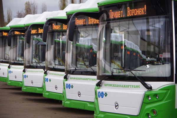 Проездные и ликвидация маршрутов. Как изменится общественный транспорт Воронежа