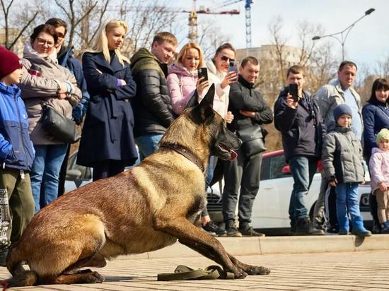 В Воронеже фестиваль &laquo;Открытая Росгвардия&raquo; прошел в Центральном парке культуры и отдыха