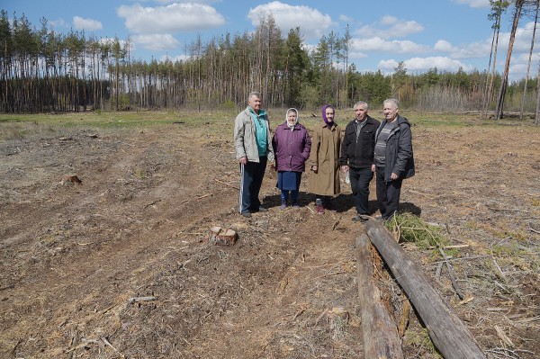 &laquo;Все тут по закону&raquo;. Сосновый лес в центре Воронежской области &ndash; под угрозой исчезновения?