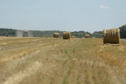 Воронежская область за год привлекла 51 млрд рублей инвестиций в АПК