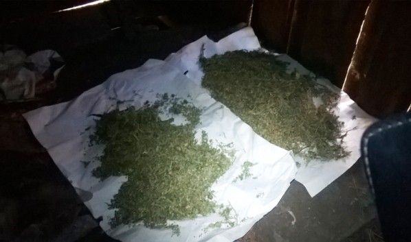 Воронежец хранил у себя почти 1 кг марихуаны в коробках, банках и в пакетах