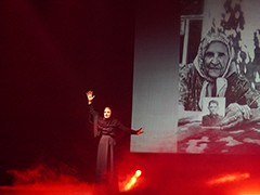 Русский национальный балет &laquo;Кострома&raquo; представил в Воронеже спектакль &laquo;Домой с Победой&raquo;