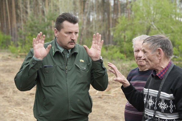 &laquo;Все тут по закону&raquo;. Сосновый лес в центре Воронежской области &ndash; под угрозой исчезновения?