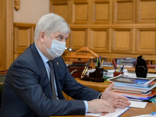 Воронежский губернатор призвал не превращать индивидуальное жилищное строительство в рестораны и гостиницы