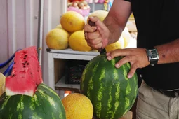 Мэр Воронежа утвердил новую схему размещения киосков и торговых павильонов