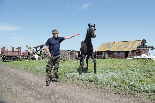 Заброшенные хутора: как пустеют воронежские деревни. Долгинка